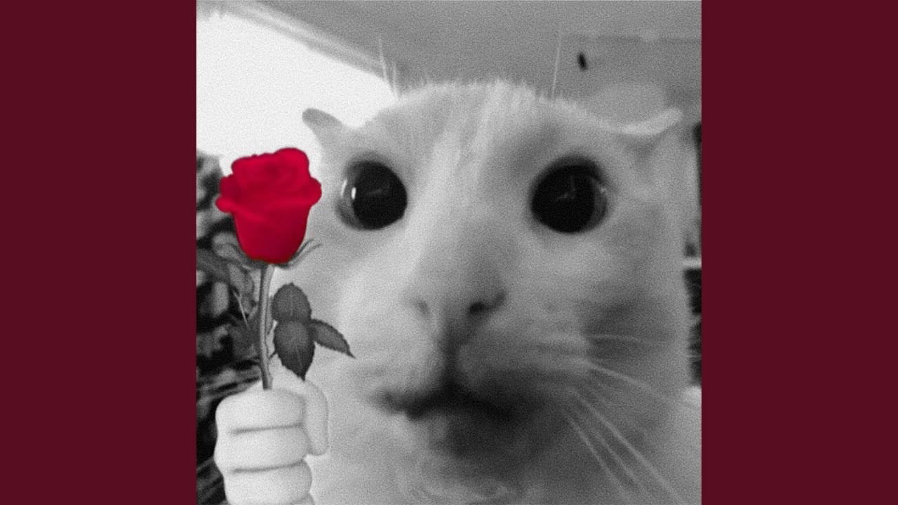 Prom? (sped 40%) - YouTube