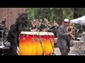 Pete escovedo  live stern grove festival