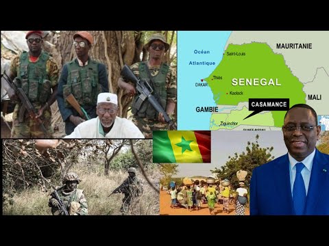 🇸🇳🇸🇳Babonda, Diégoune, Mandina Mankagne..: Retour sur les batailles entre l’armée et Salif Sadio