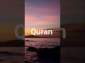surah an noor Urdu translation Quran and birds سورۃ النور کا اردو ترجمہ #nature #quran #قرآن #islam