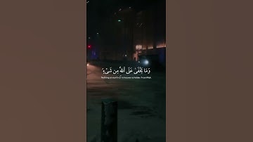ربنا إنك تعلم ما نخفى وما نعلن 🤍 ｜ سورة إبراهيم ｜ طارق محمد ｜ قرآن كريم