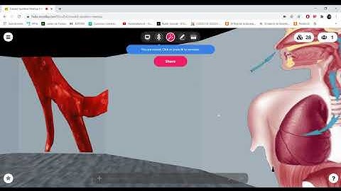 Viaje al interior del cuerpo humano-Grabación de videoinstalación