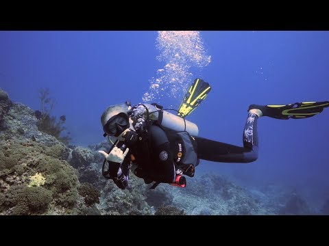 India's First Scuba Diving Expedition To Gili | Curly Tales