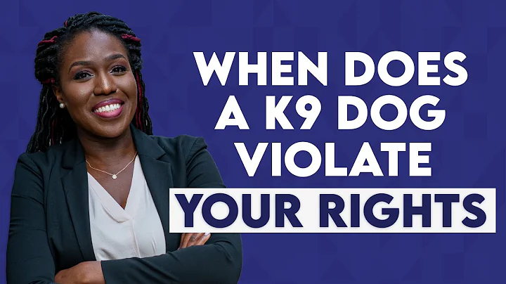 When Does a Drug Dog Violate Your Rights