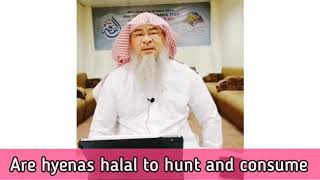 Are Hyenas halal to hunt and eat    Assim al hakeem m