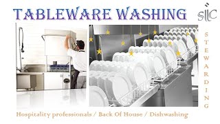 Cleaning Tableware