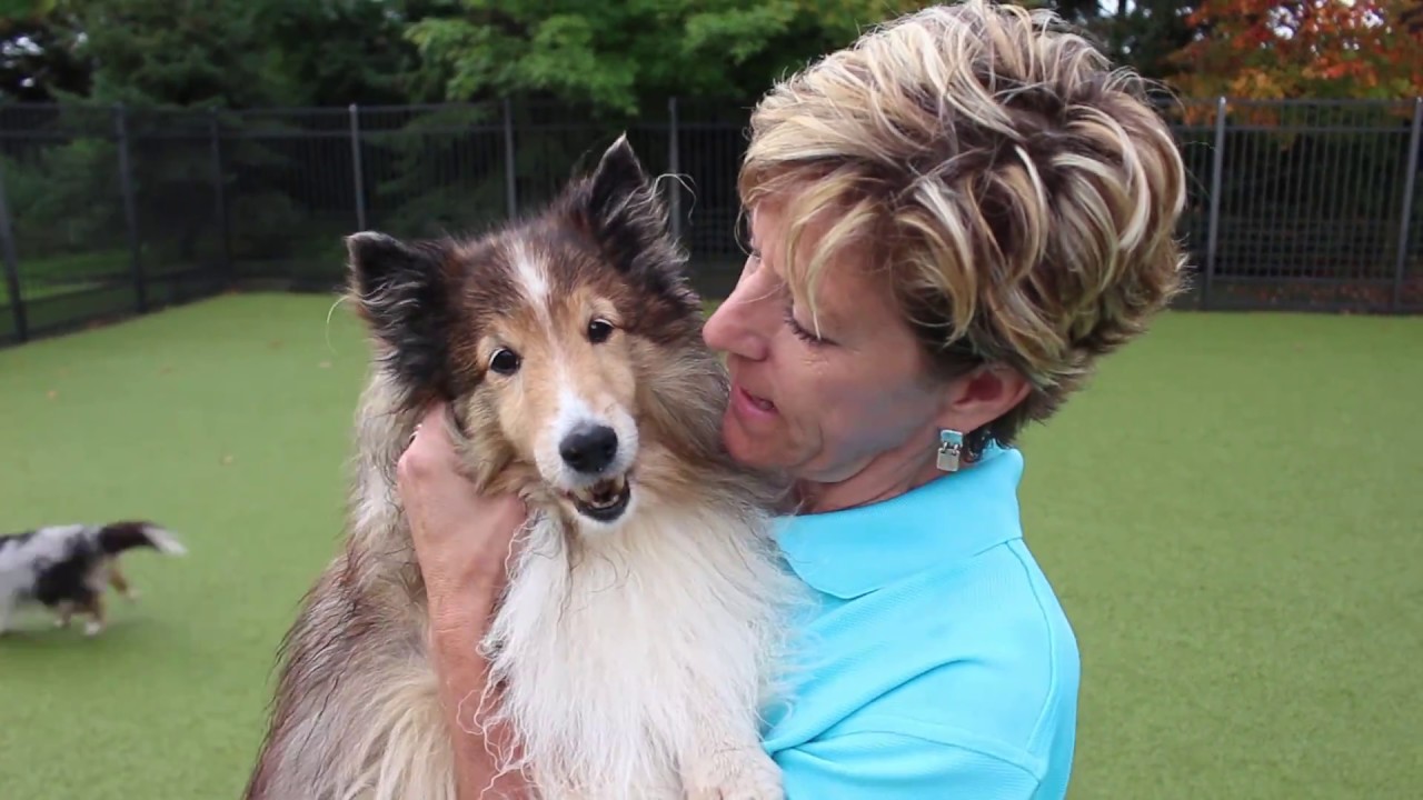 Top Dog Country Club Promotional Video YouTube