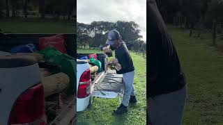 Aire River Campground