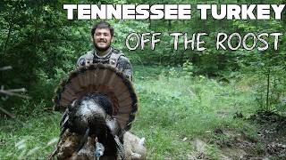 Tennessee Turkey- Right Off The Roost