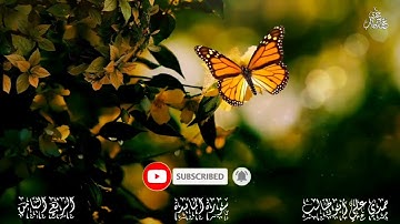 قرآن كريم سورة  المائدة (الربع الثامن) حمدي علي أبوطالب Holy Quran Surah Al Ma'idah