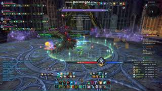 TERA 왜곡된 리안의 지하 전당 1넴 정령사
