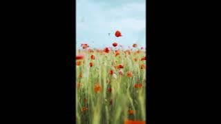 Download lagu I'll Be There - IBUMEX | Vui Chưa