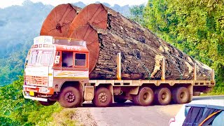 Extreme Fastest Skill Logging Climber Truck Fails Operator, Dangerous Idiots Wood Cutting Machines