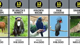 Most Expensive Animals In The World