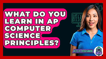 What Do You Learn In AP Computer Science Principles? - Next LVL Programming