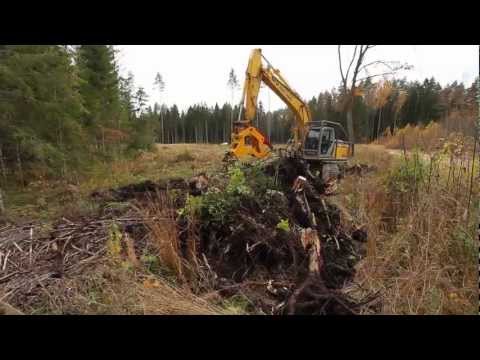 Video: Zinātnieki Ir Izveidojuši Universālas Zāles Visiem Gripas Celmiem - Alternatīvs Skats