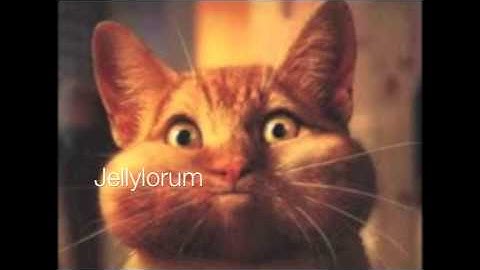 The Naming of Cats by T.S. Eliot