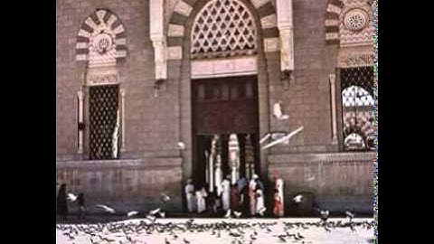 الشيخ نايف السالم - سورة النجم