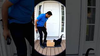 its pay version... #ai #veo3 #cat #amzon #meme #black #camera #delivery #free #paid #drakthonhub