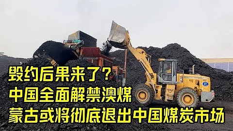 毀約後果來了？中國全面解禁澳煤，蒙古或將徹底退出中國煤炭市場 - 天天要聞