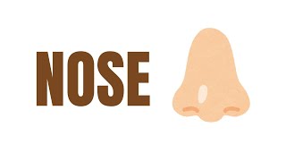 Human Anatomy Flashcards | No Music FOCUS | Learn Body Parts for Kids and Toddlers | Early Learning