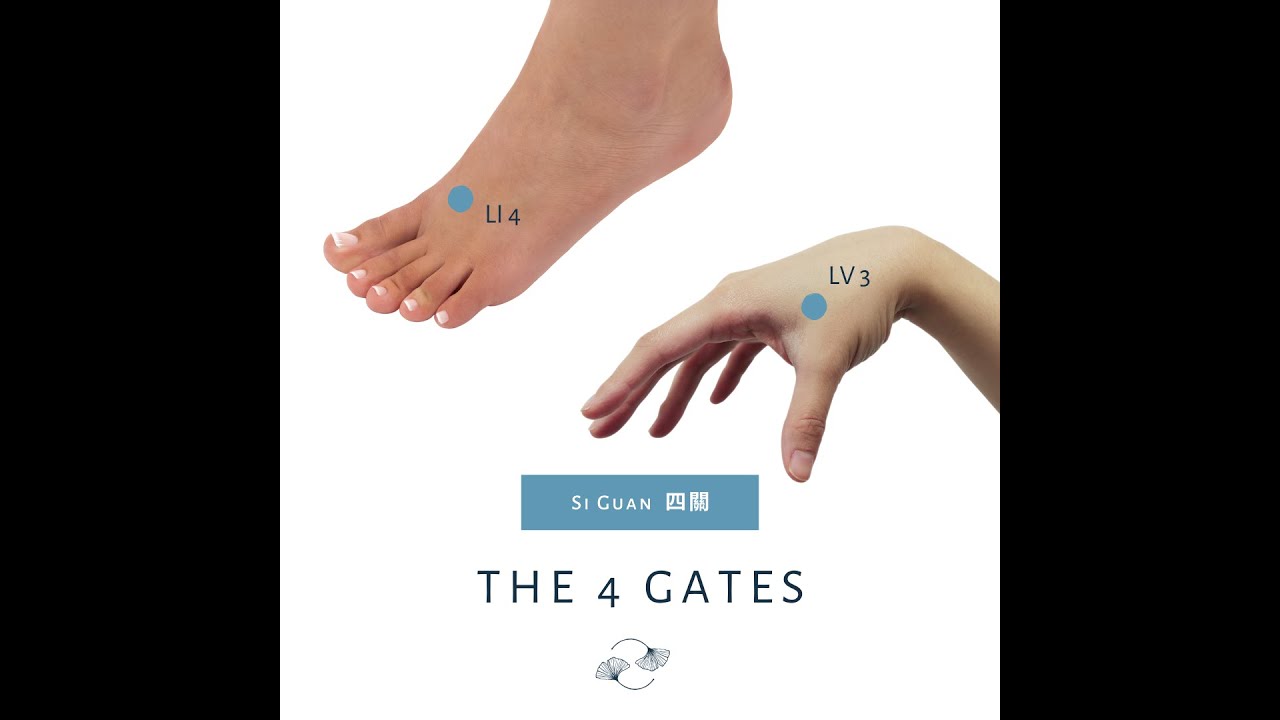 4 Gates Tapping - waking up the chi in our morphological/energy field ...