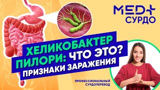 Что такое ХЕЛИКОБАКТЕР пилори? КАМНИ в желчном пузыре: как избавиться?