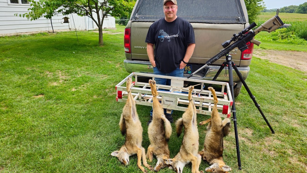 Michigan Solo Coyote Hunt 4 Coyotes Down In 3 Shots YouTube michigan-solo-coyote-hunt-4-coyotes-down-in-3-shots-youtube