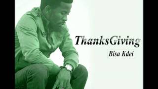 Bisa Kdei - Party Dey Go (NEW 2013)