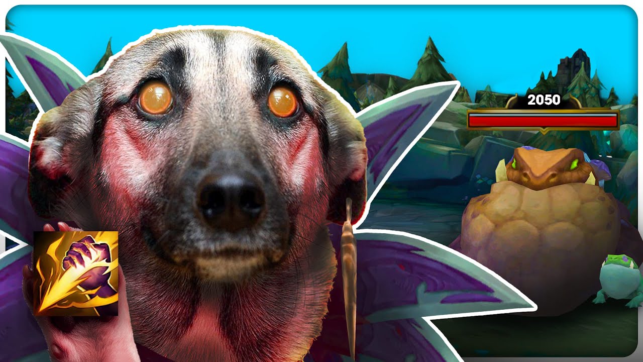 NAFIRI ES EL MEJOR AMIGO DEL HOMBRE (o no)