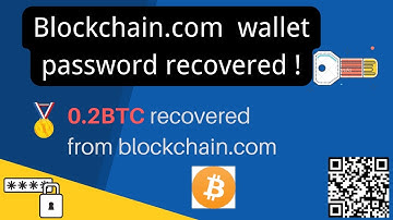 Password found 🔑"turkeyamb_990762": how to recover the blockchain.com password