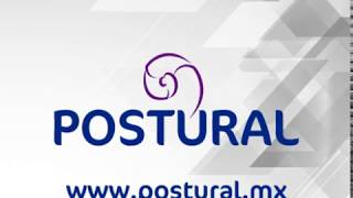 Productos Y Complementos Para Personas Con Discapacidad Postural