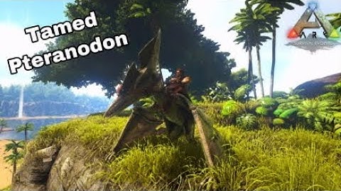 How to tame a pteranodon in Ark Survival Evolved