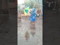 chimbha bhijlele #rainfall #snowfall #ytshorts