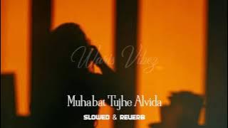 Muhabat Tujhe Alvida | ( Slowed   Reverb ) | Slowed and reverb Song | Sahir Ali Bagga
