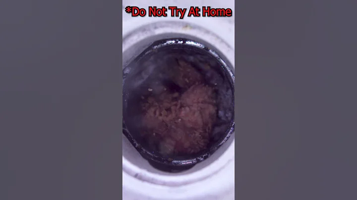 Chicken vs. Garbage Disposal | Plumber Tests