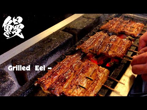 Japanese Food - Amazing Grilled Eel (Unagi) in Tokyo Japan〜Japan OTAKU News〜