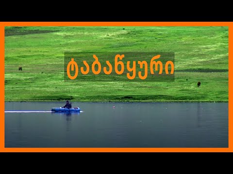 ტაბაწყური