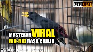 RIO RIO ISIAN CILILIN