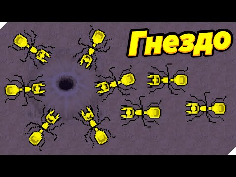 Видео: НОВЫЕ ИСПЫТАНИЯ ДЛЯ МУРАВЬЕВ! - Pocket Ants Симулятор Колонии