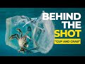 How i got that impossible crab in cup underwater photo for greenpeace