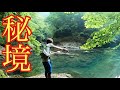 とあるダム湖…巨バス達の反応がヤバすぎた?