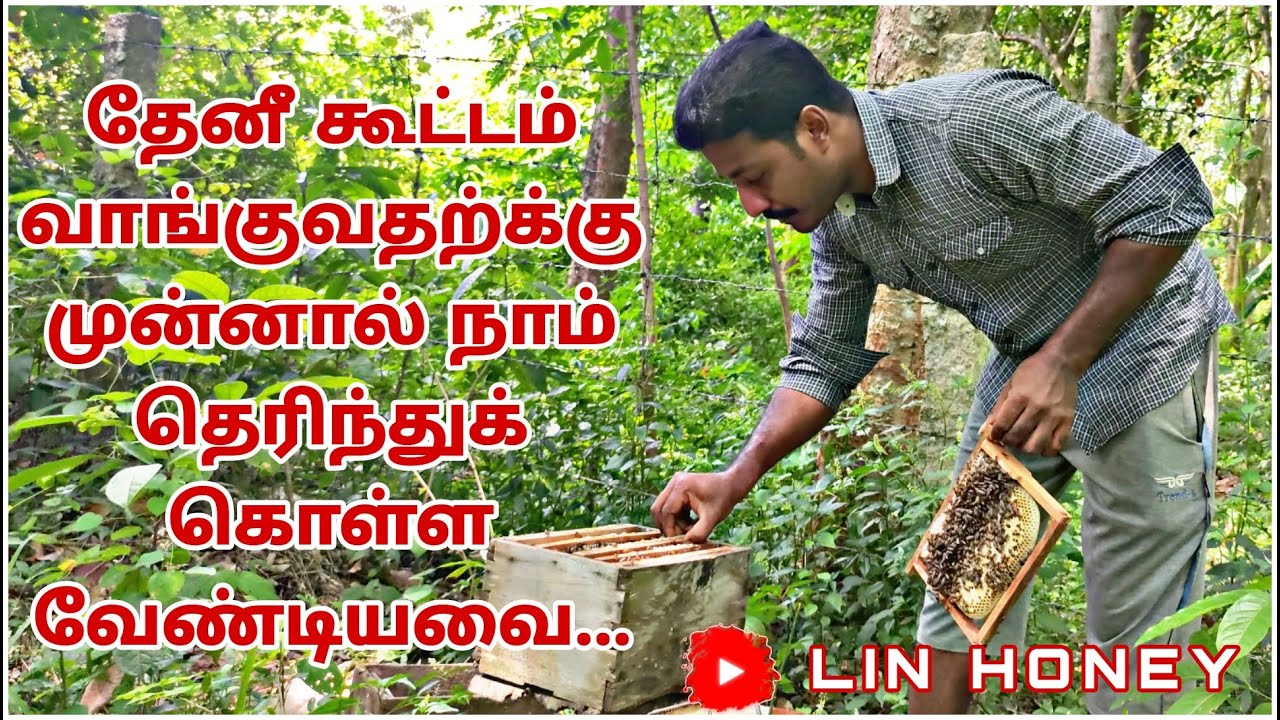 தேனீ கூட்டம் வாங்குவதற்க்கு முன்னால் நாம் தெரிந்துக் கொள்ள வேண்டியவை | LIN HONEY, MARTHANDAM.