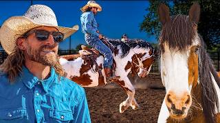 I Try To Train My Bucking Horse!