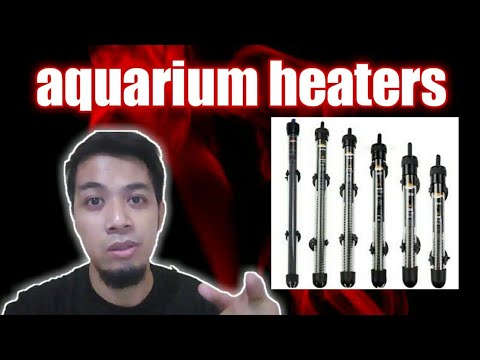 lets talk about AQUARIUM HEATERS | is it required in FISH KEEPING (tagalog w/ eng sub)