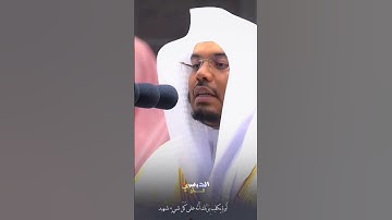 سنريهم آياتنا فى الآفاق وفى أنفسهم - سورة فصلت 🥀🤍