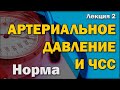 Что такое артериальное давление и частота сердечных сокращений, и от чего они зависят [S06E02]