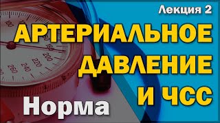 картинка: Что такое артериальное давление и частота сердечных сокращений, и от чего они зависят [S06E02]