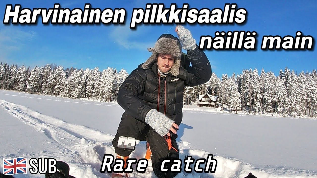 Mun eka pilkkireissu 15 vuoteen! | Ice fishing for Perch + Surprise catch!