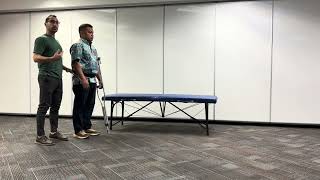 Modified 2-Point Gait Pattern